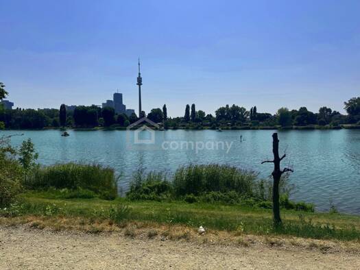 Wohnung zum Kauf 287.000 € 3 Zimmer 82 m² 1. Geschoss Floridsdorf 1210