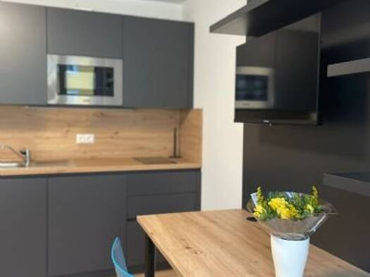 Studio zur Miete 620 € 1 Zimmer 28 m² 1. Geschoss Maximilianstraße 30 City Bayreuth 95444