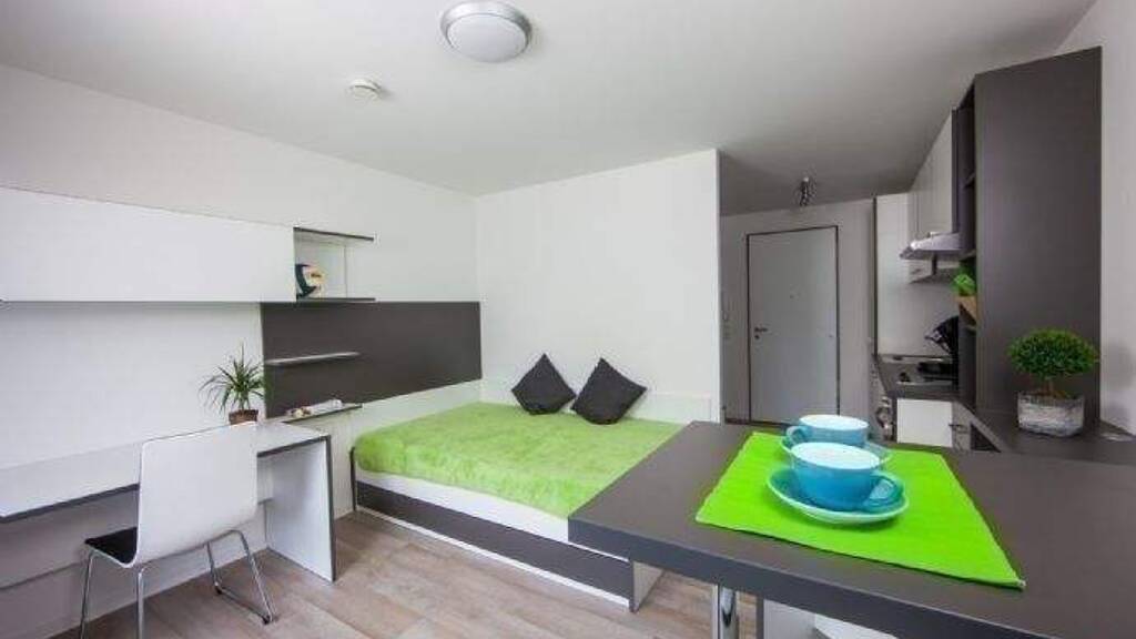 Studio zur Miete 493 € 1 Zimmer 24 m² 1. Geschoss frei ab 15.04.2026 Allersberger Straße 10 Galgenhof Nürnberg 90461