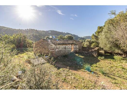 Acker-/Waldstück zum Kauf 2.220.000 € Alaró 07340