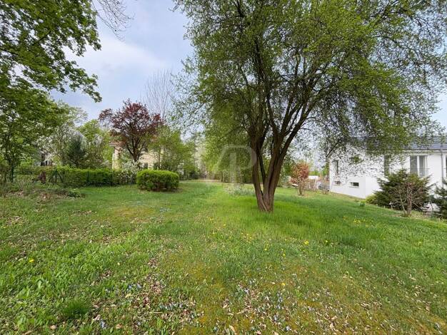Grundstück zum Kauf 299.000 € 1.020 m² Grundstück Wandlitz Wandlitz 16348