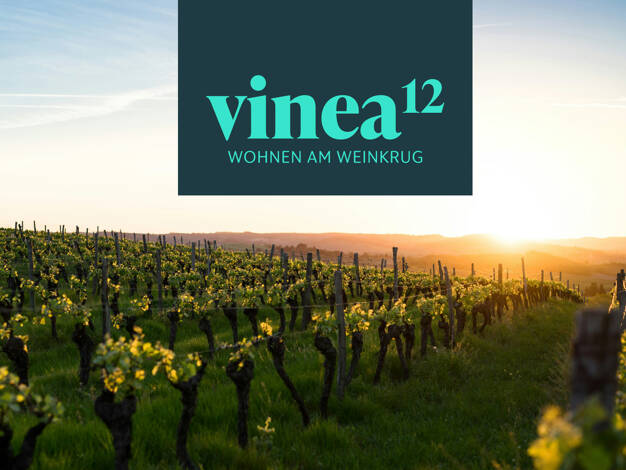 Wohnung zum Kauf 399.000 € 3 Zimmer 82,6 m² Dachgeschoss Neuses am Berg Dettelbach / Neuses am Berg 97337