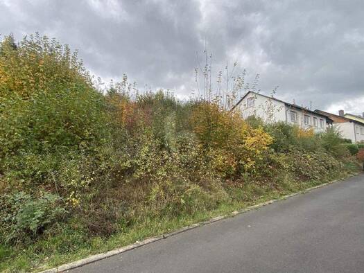 Grundstück zum Kauf 100.000 € 779 m² Grundstück Borken 34582