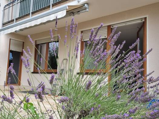 Terrassenwohnung zum Kauf provisionsfrei 315.000 € 4 Zimmer 110 m² Geschoss EG/3 frei ab sofort Rehbühl Weiden in der Oberpfalz 92637