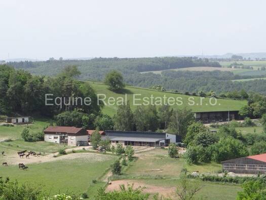 Reiterhof zum Kauf 1.270.000 € 180.000 m² Grundstück Oberauerbach Zweibrücken 66482