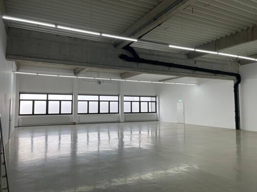 Produktionshalle zur Miete provisionsfrei 2.180 € Kleiner Johannes 21 Pegnitz 91257