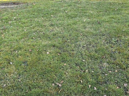 Haus zum Kauf 652.000 € 5 Zimmer 134 m² 285 m² Grundstück Sondelfingen 72766