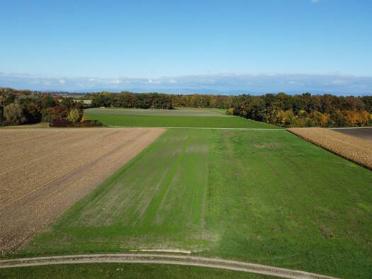Landwirtschaftliche Fläche zum Kauf 89.824 € 5.614 m² Grundstück Wallersdorf Wallersdorf 94522