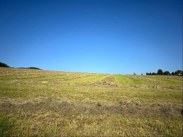 Land-/Forstwirtschaft zum Kauf 90.000 € 22.739 m² Grundstück Schwelentrup Dörentrup 32694