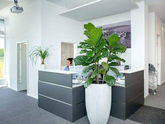 Bürofläche zur Miete provisionsfrei 1 Zimmer Petershausen Konstanz 78467