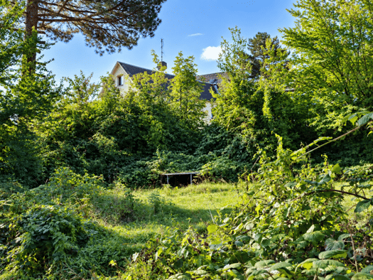 Grundstück zum Kauf 28.000 € 696 m² Grundstück Limbach-Oberfrohna Limbach-Oberfrohna 09212