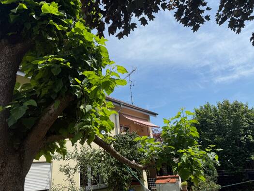 Wohnung zum Kauf 269.000 € 3 Zimmer 85 m² 1. Geschoss Laimnau Tettnang 88069
