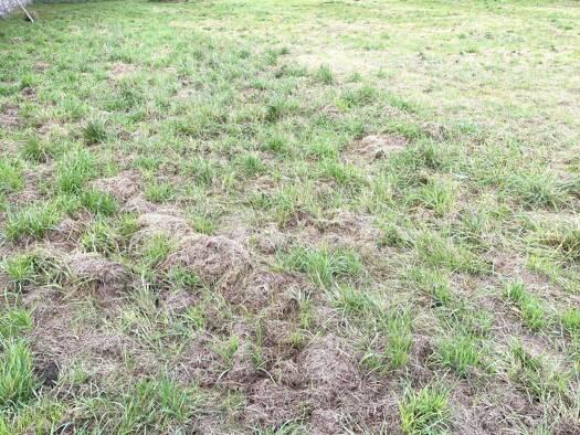 Grundstück zum Kauf 1.130.250 € 4.521 m² Grundstück Gössendorf 8077