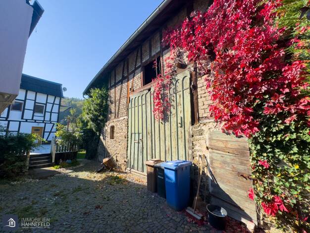 Bauernhaus zum Kauf 210.000 € 7 Zimmer 184,9 m² 670 m² Grundstück frei ab sofort Eschenau Runkel 65594