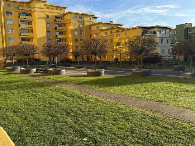 Wohnung zur Miete 669 € 3,5 Zimmer 76,8 m² EG frei ab 01.02.2026 Wildermannstraße 22 Stadtmitte Recklinghausen 45659