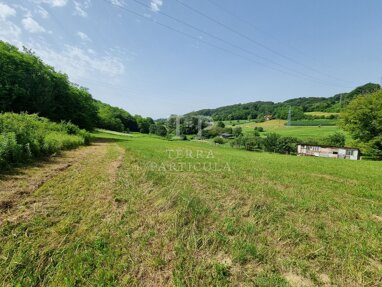 Land-/Forstwirtschaft zum Kauf 17.410 € Prosenik Gubasevski