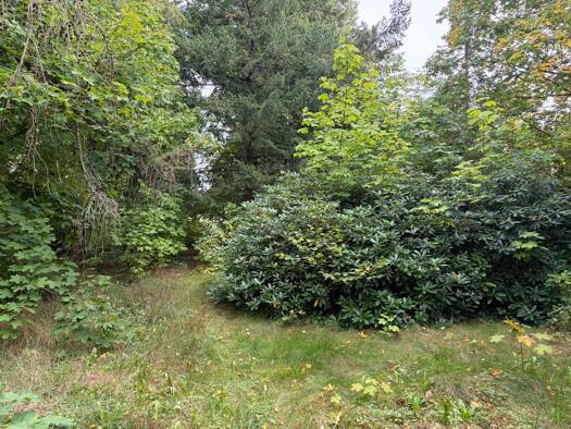 Grundstück zum Kauf 199.000 € 1.366 m² Grundstück Baugenehmigung vorhanden frei ab sofort Salzhausen Salzhausen 21376