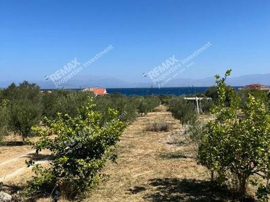 Bauernhof zum Kauf 950.000 € 10.350 m² Grundstück Municipality of Xylokastro and Evrostina 204 00