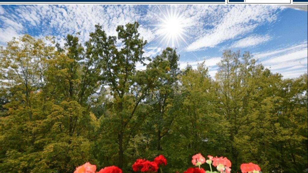 Wohnung zum Kauf 219.000 € 4 Zimmer 83,8 m² 3. Geschoss Schwalbach am Taunus 65824