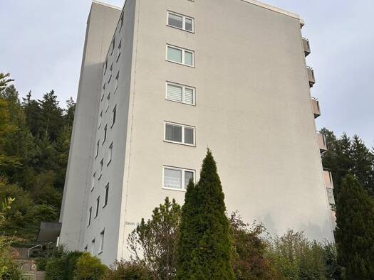Wohnung zum Kauf 149.000 € 3 Zimmer 92 m² 1. Geschoss Möhringen Tuttlingen 78532