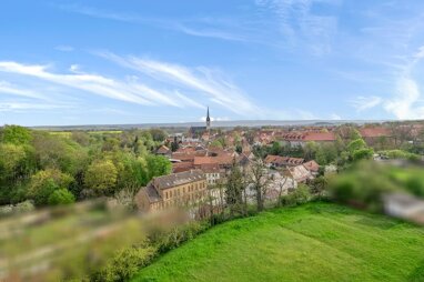 Grundstück zum Kauf 107.000 € 3.920 m² Grundstück Ditfurt 06484