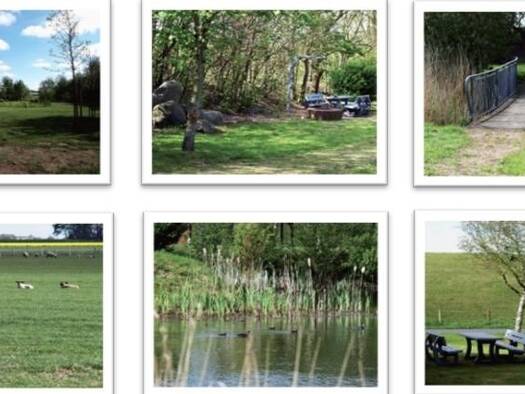 Einfamilienhaus zum Kauf 348.000 € 6 Zimmer 142 m² 8.170 m² Grundstück Friedrichskoog 25718