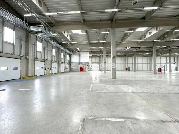 Halle/Industriefläche zur Miete 6.644 m² Lagerfläche teilbar ab 3.000 m² Frankenthal 131 Frankenthal 67227