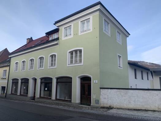 Mehrfamilienhaus zum Kauf 480.000 € 5 Zimmer 300 m² 318 m² Grundstück Lilienfeld 3180