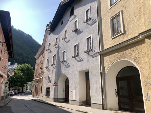 Wohnung zur Miete 410 € 1 Zimmer 43 m² 1. Geschoss Hallein 5400