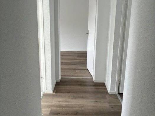 Wohnung zur Miete 429 € 3 Zimmer 61 m² 3. Geschoss frei ab 16.10.2026 Schlachthofstr. 60 a Röttgersbach Duisburg 47167
