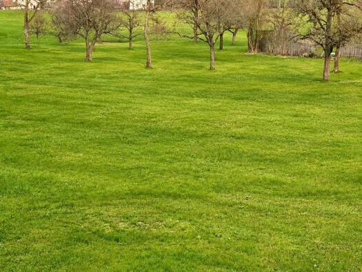 Grundstück zum Kauf 125.000 € 500 m² Grundstück Dietach 4407