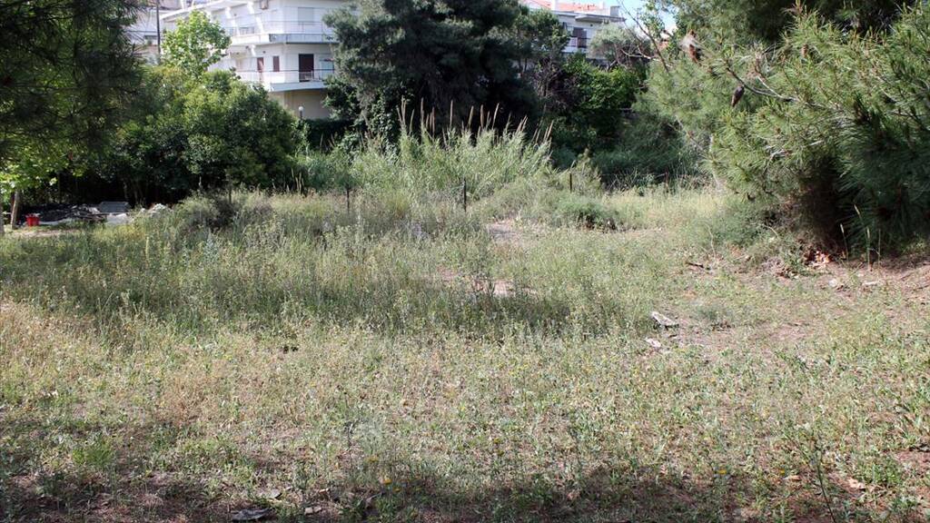 Land-/Forstwirtschaft zum Kauf 350.000 € 1.400 m² Grundstück Chalkidiki