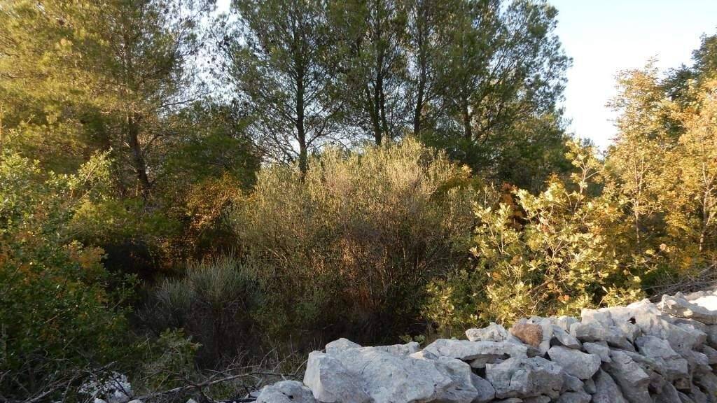 Land-/Forstwirtschaft zum Kauf 69.336 € Vodice Vodice