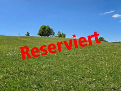 Grundstück zum Kauf 98.000 € 5.900 m² Grundstück Ehlenz 54636