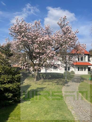 Villa zur Miete 2.500 € 22 Zimmer 291,8 m² 620 m² Grundstück Dransfeld Dransfeld 37127