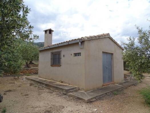 Acker-/Waldstück zum Kauf 31.000 € Xerta 43592
