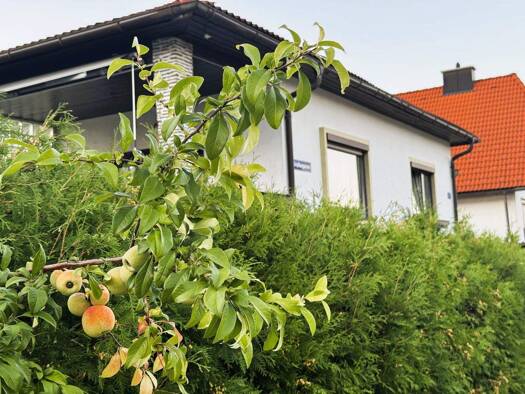 Bungalow zum Kauf 279.500 € 3 Zimmer 920 m² Grundstück Pottschach 2630