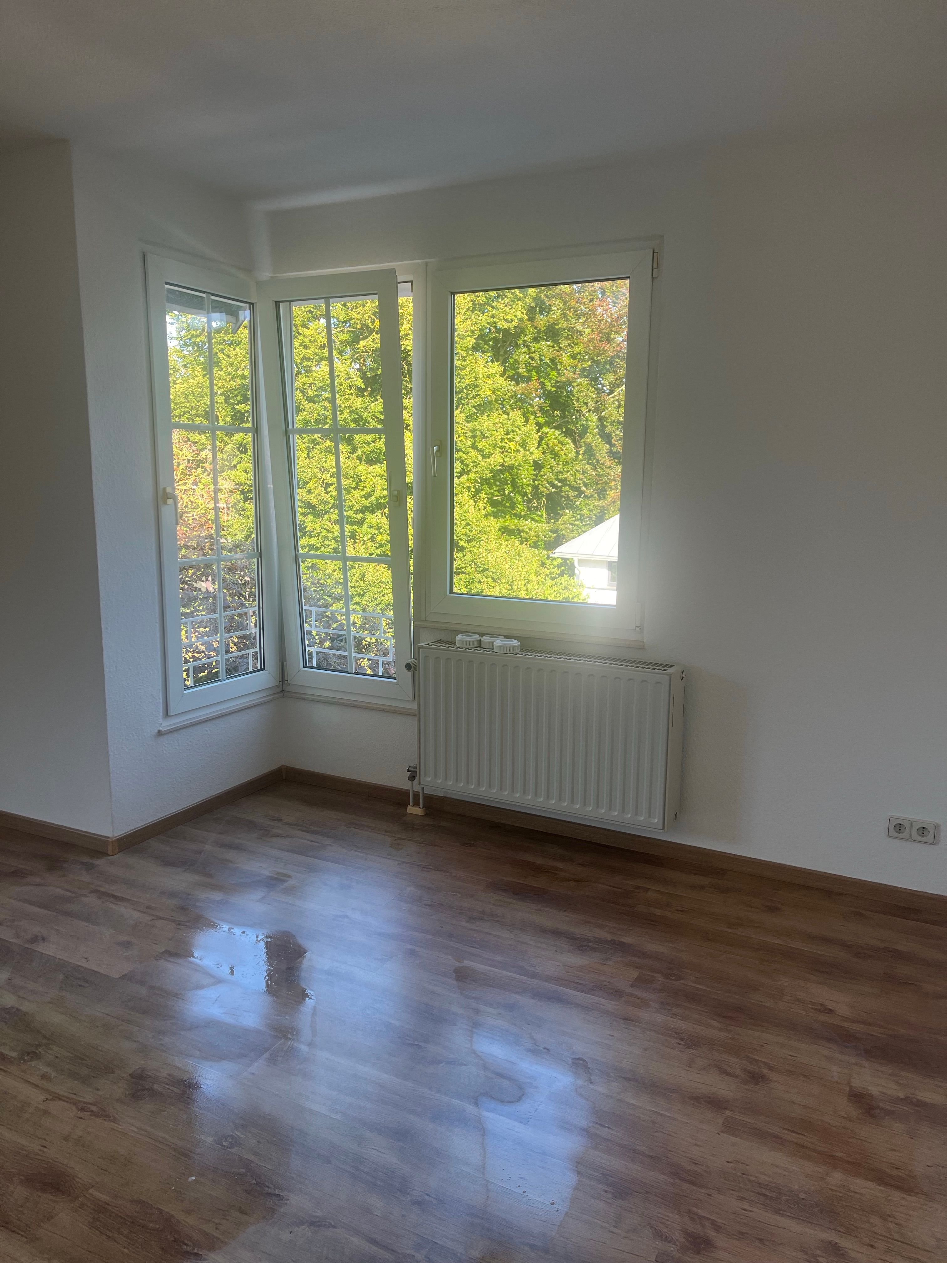 Wohnung zur Miete 600 € 2 Zimmer 71 m²<br/>Wohnfläche 2.<br/>Geschoss ab sofort<br/>Verfügbarkeit Brilon Brilon 59929