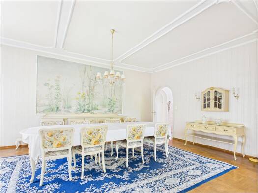 Villa zum Kauf 995.000 € 11 Zimmer 387 m² 4.997 m² Grundstück Stockstadt am Main 63811