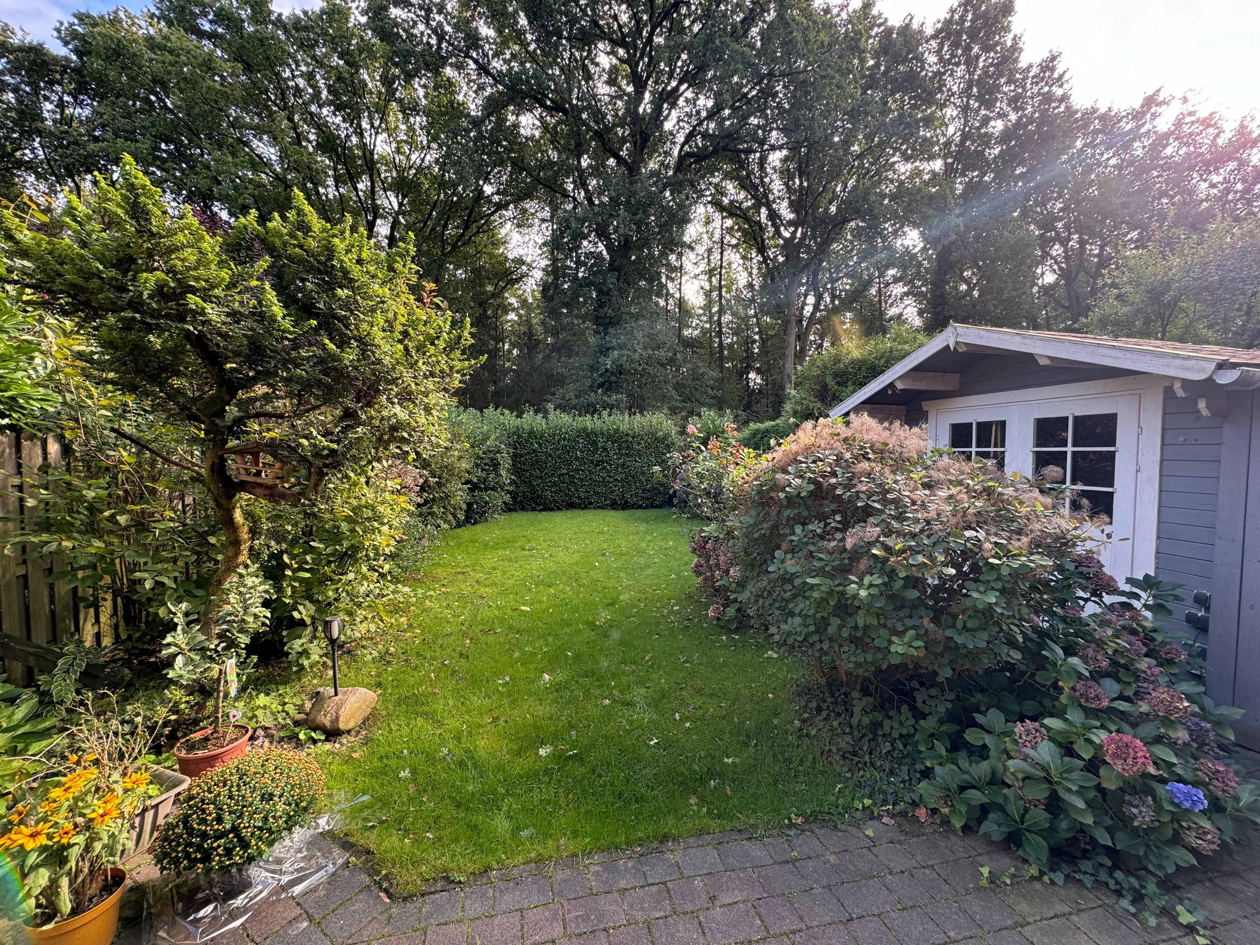 Doppelhaushälfte zum Kauf provisionsfrei 315.000 € 4 Zimmer 110 m²<br/>Wohnfläche 350 m²<br/>Grundstück ab sofort<br/>Verfügbarkeit Wildeshausen 27793