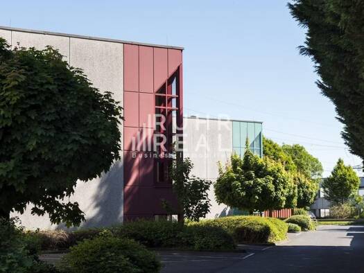 Bürofläche zur Miete provisionsfrei 8,50 € 236,3 m² Bürofläche teilbar ab 236,3 m² Brauweiler Pulheim 50259