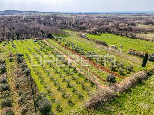 Acker-/Waldstück zum Kauf 110.000 € Umag 52470