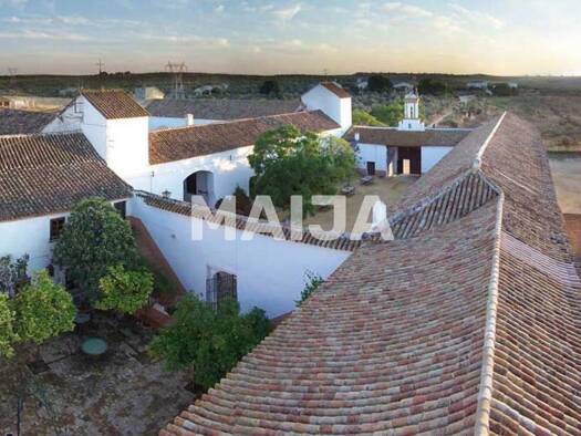 Villa zum Kauf 8.900.000 € 12 Zimmer 1.416 m² 19.642 m² Grundstück Seville Seville 41001