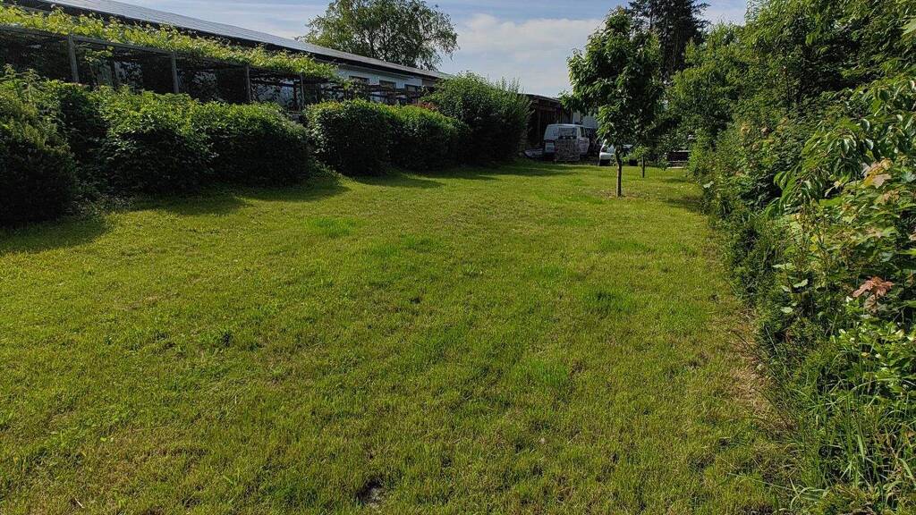 Großzügige Kapitalanlage der besonderen Klasse in Schneverdingen