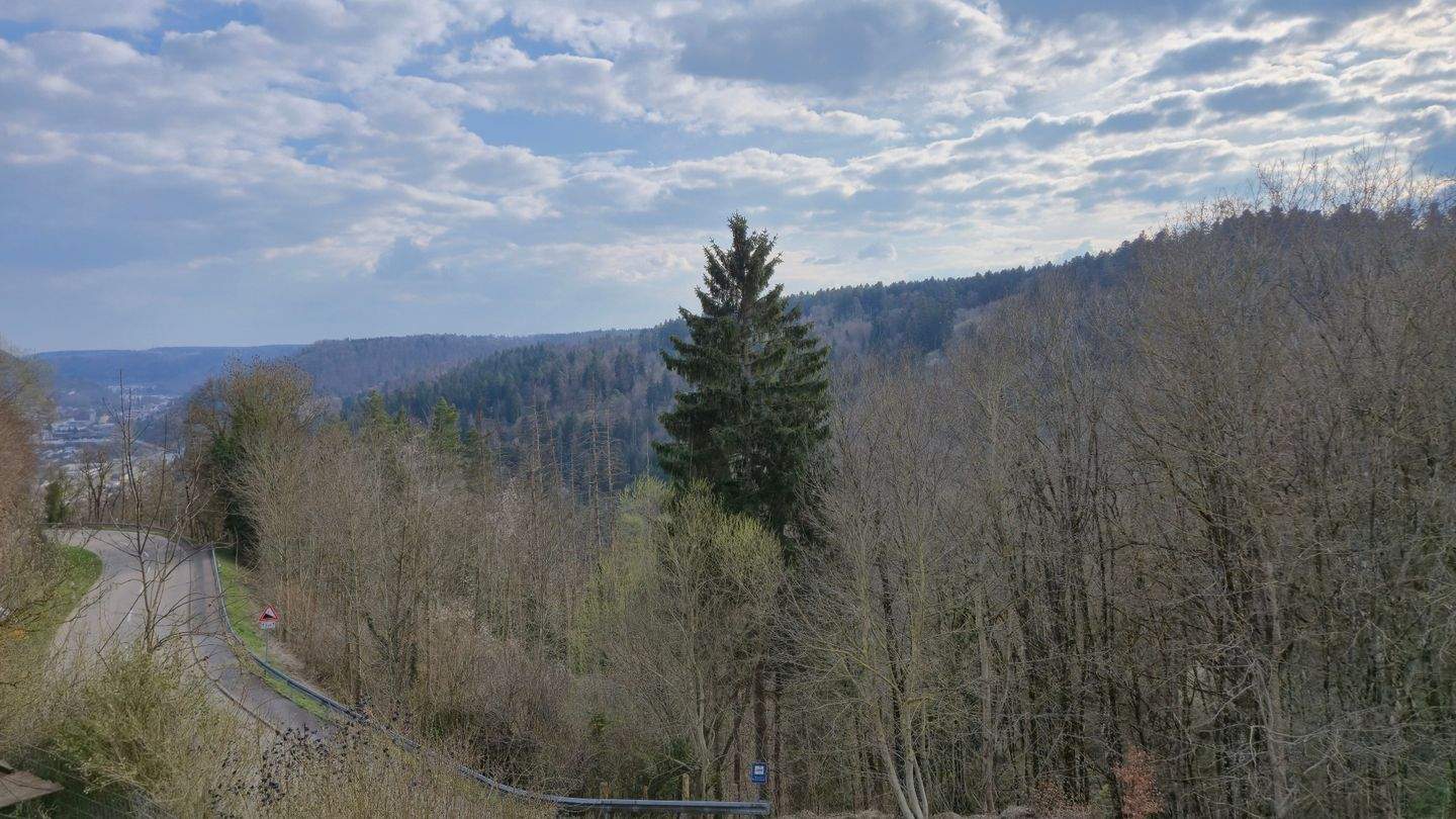 Immobilie in Dornhan - Zweifamilienhaus in Dornhan-Weiden / Video auf YouTube - Bild 2