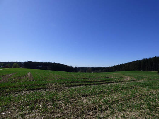 Land-/Forstwirtschaft zum Kauf 555.000 € 37.100 m² Grundstück Schachten Altfraunhofen 84169