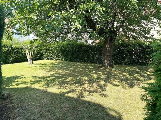 Grundstück zum Kauf 359.000 € 977 m² Grundstück frei ab sofort Dürerstraße 16 Holzwickede Holzwickede 59439