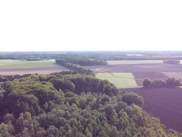 Land-/Forstwirtschaft zum Kauf 36.235 m² Grundstück Harpstedt 27243