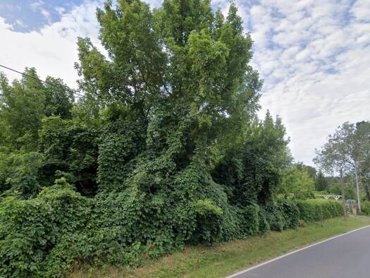Grundstück zum Kauf 193.000 € 1.642 m² Grundstück Gladowshöhe Strausberg / Gladowshöhe 15344