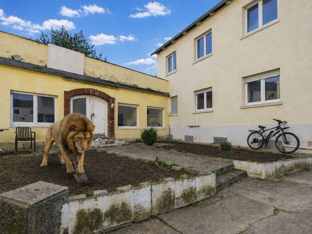 Wohnung zum Kauf 429.000 € 6 Zimmer 110 m² Darmstadt 64283